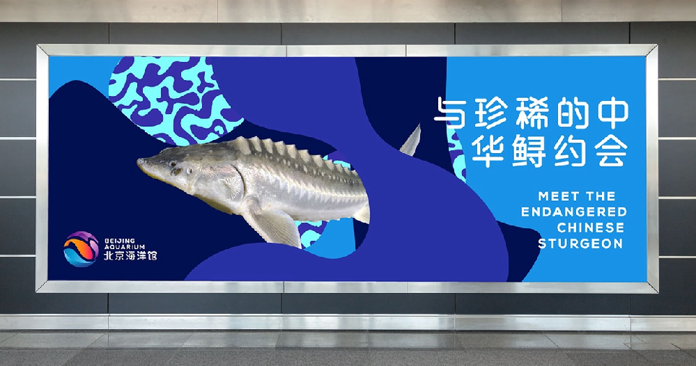 北京海洋馆品牌重塑