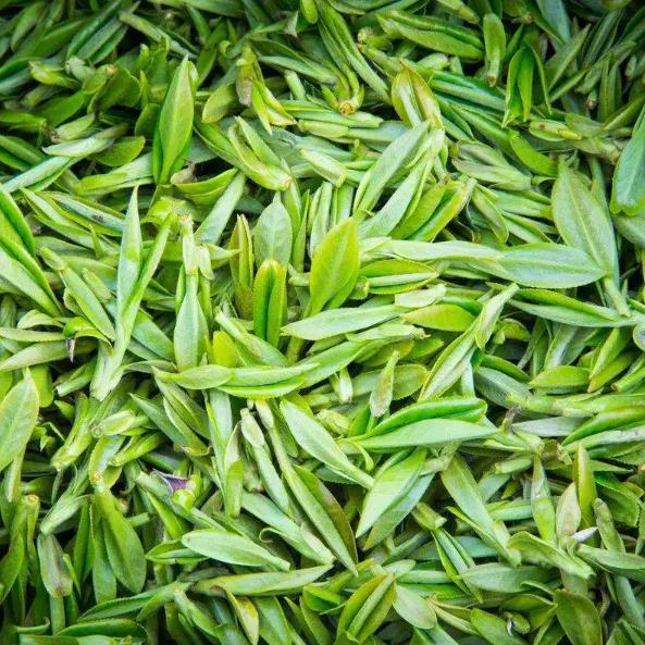 茶叶LOGO设计标识的设计理念有哪些？
